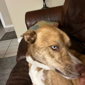 Meet your Posher, Janice